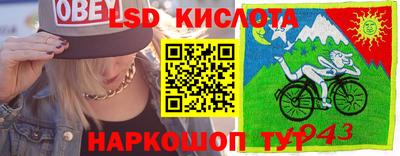 a pvp Обнинск